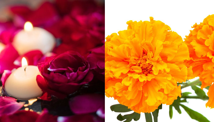 Home Remedies to treat gray hair