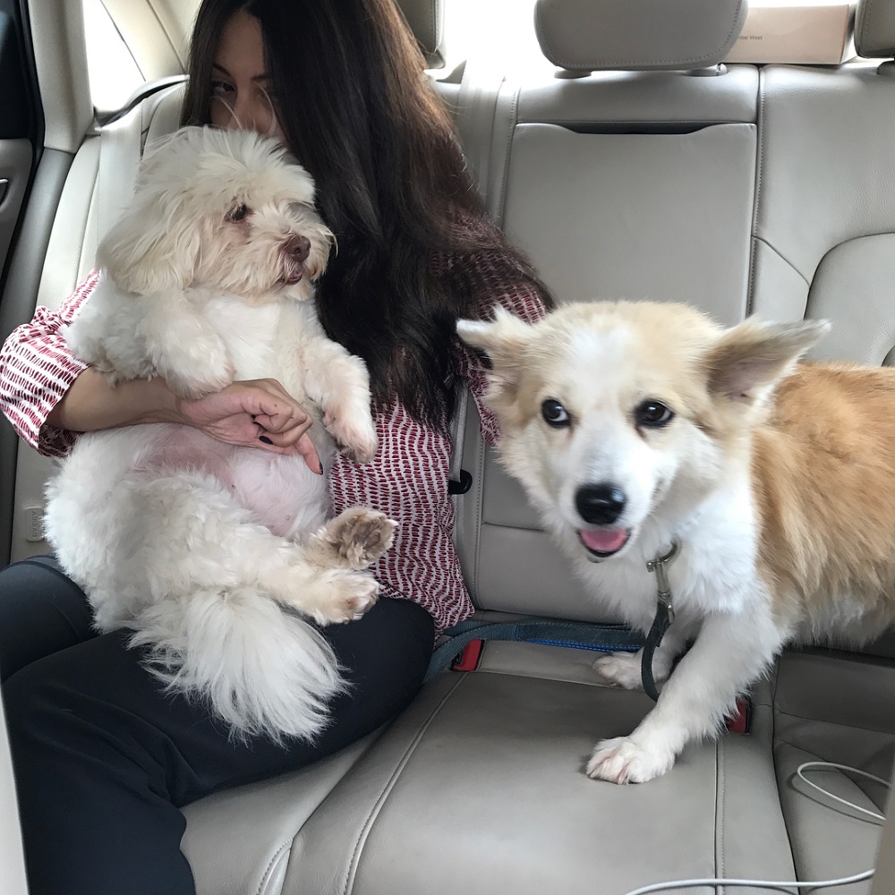 Riya Sen Love For Pets