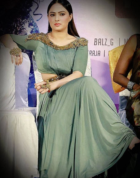 Sreesanth ex girlfriend nikesha patel makes shocking remarks