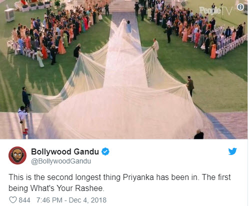 Funniest Memes On Priyanka Chopra's Wedding Veil