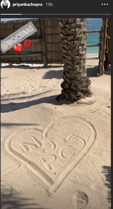 Priyanka Chopra and Nick Jonas honeymoon