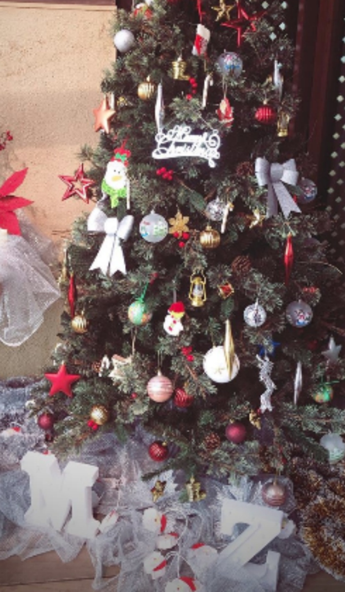 Shahid Kapoor Mira Rajput Christmas