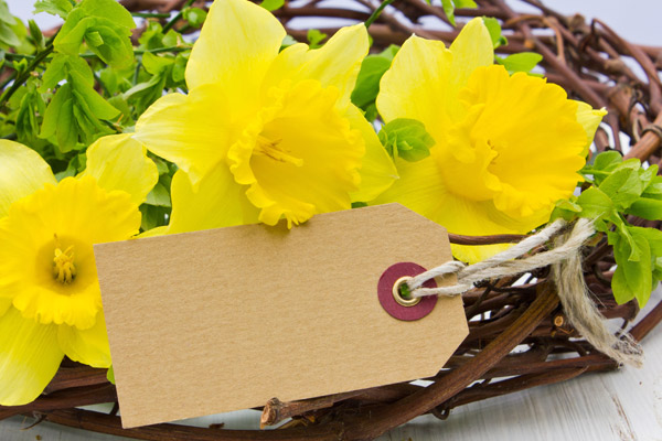 Flowers on valentine's day