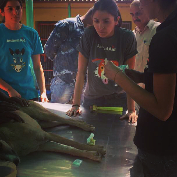 Holi Party For Newly Weds