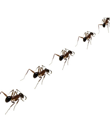 Benefits of baby powder