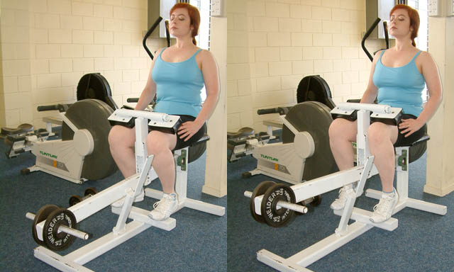 Seated calf raise