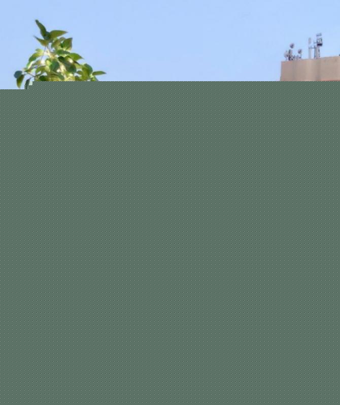 Anchal Kumar Bigg Boss