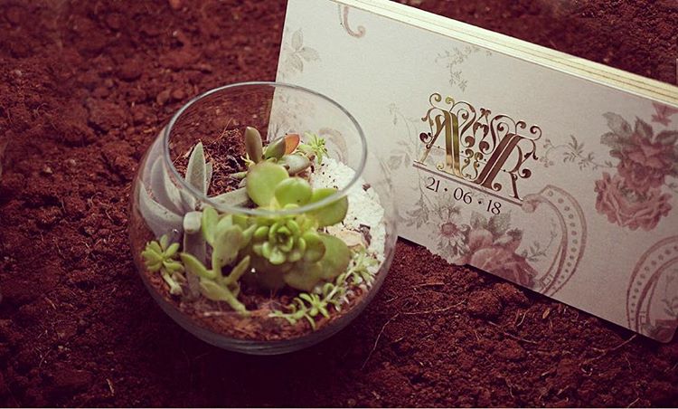 Rubina Dilaik and Abhinav Shukla