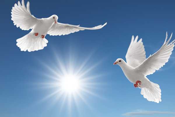 Kashmiri Wedding Traditions And Rituals