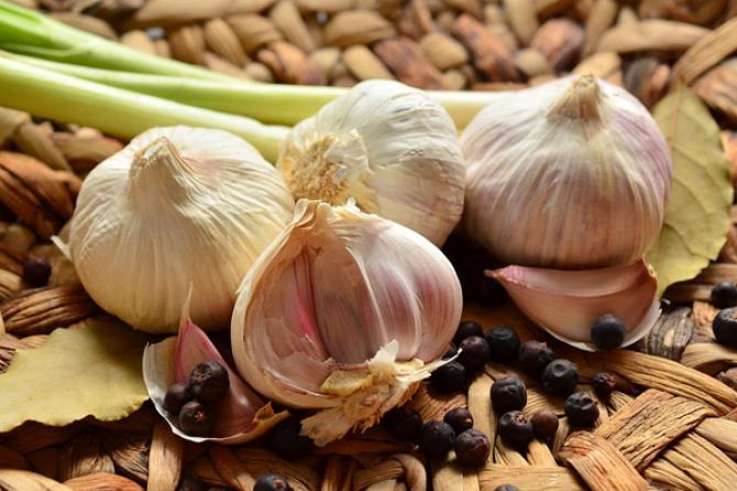 Garlic