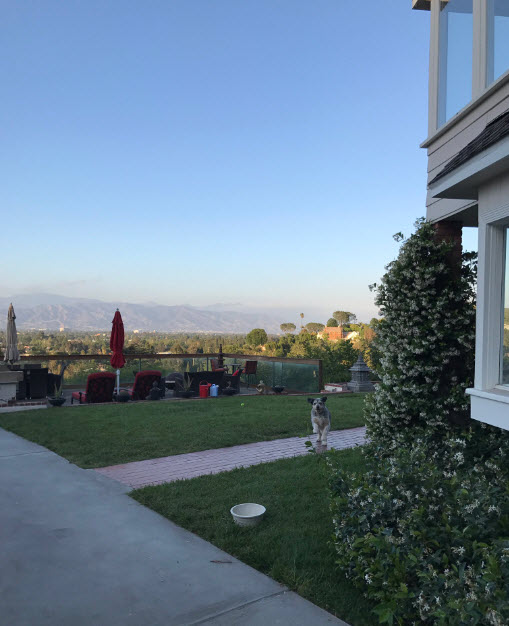 Sunny Leone And Daniel Weber Los Angeles Bungalow