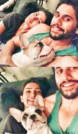 samantha and chaitanya