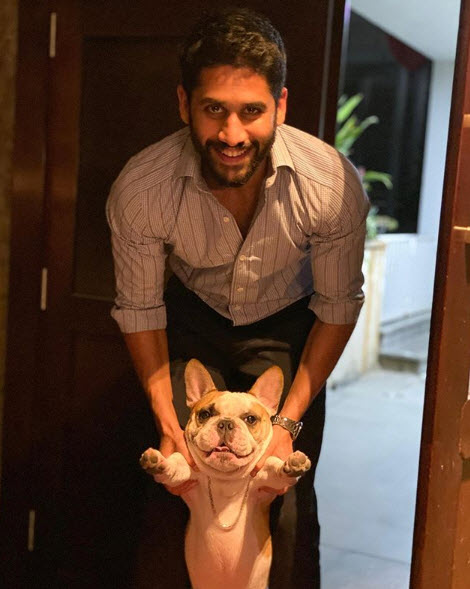 naga chaitnya and samantha