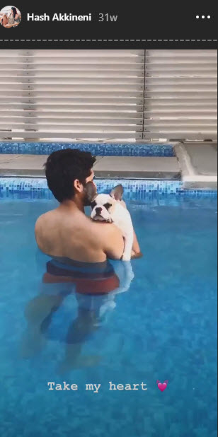 naga chaitanya and hash akkineni