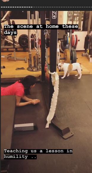 naga chaitanya and hash akkineni