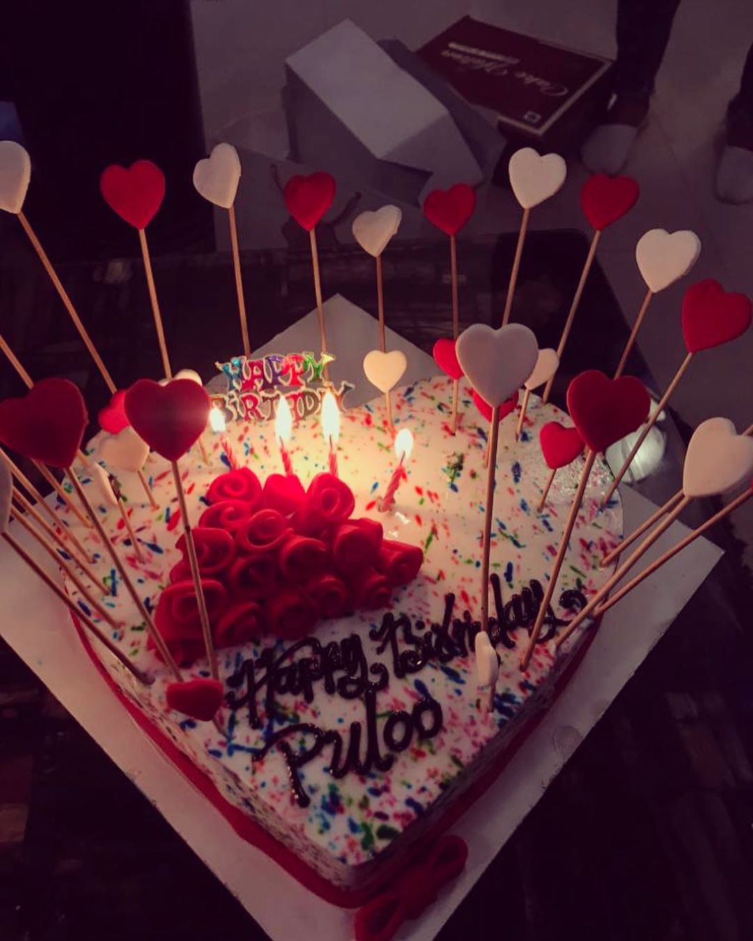 Monalisa and Vikrant on Birthday