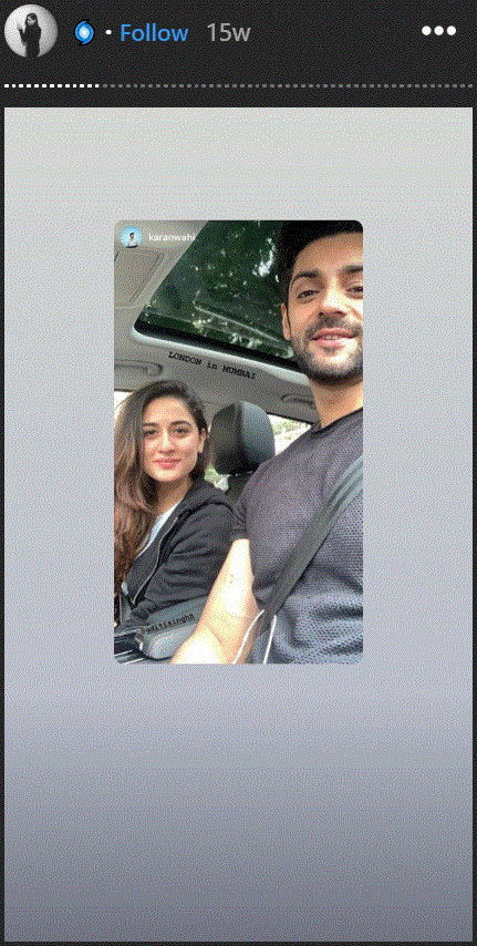 karan wahi and uditi singh