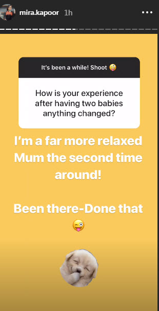 Mira Rajput Instagram questionnaire