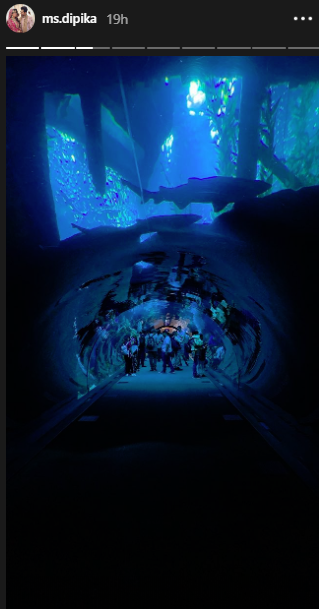 Dipika Kakar And Shoaib Ibrahim