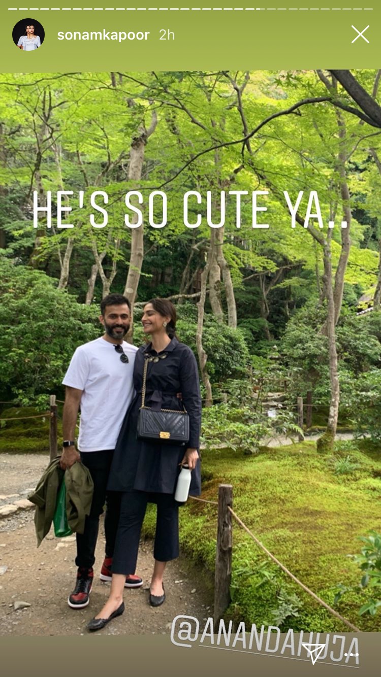 Sonam Kapoor and Anand Ahuja