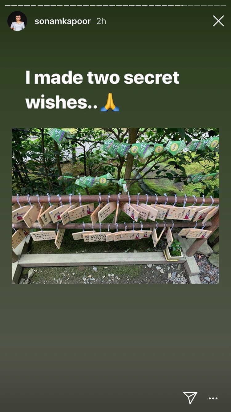 Sonam Kapoor and Anand Ahuja