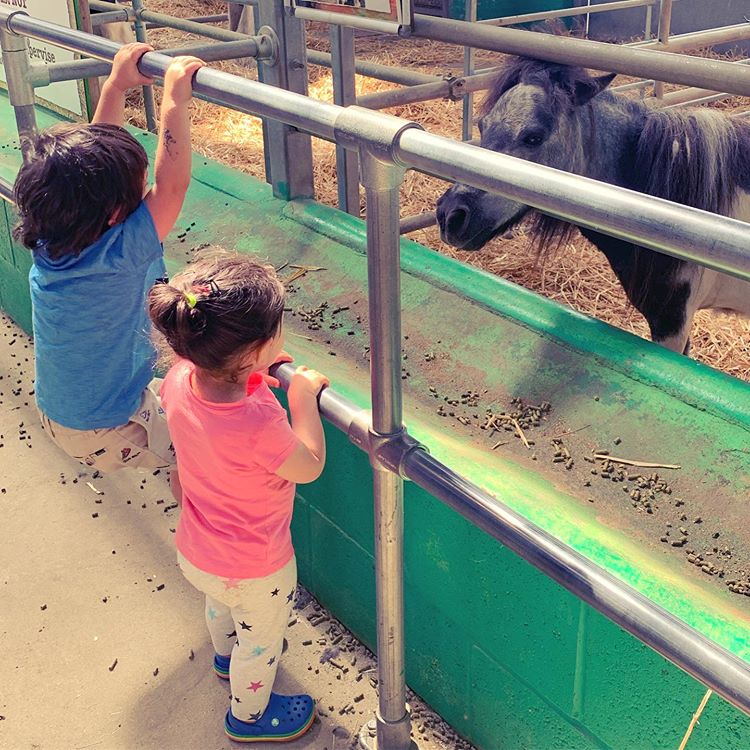 Taimur Ali Khan and Inaaya Naumi Kemmu
