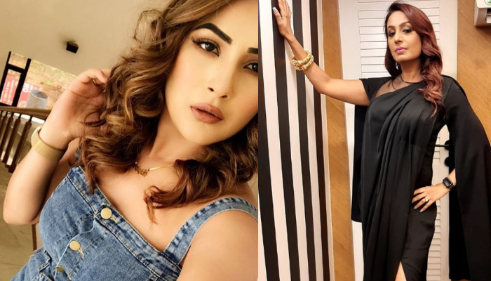 Kashmera Shah Shehnaaz Gill Bigg Boss 13