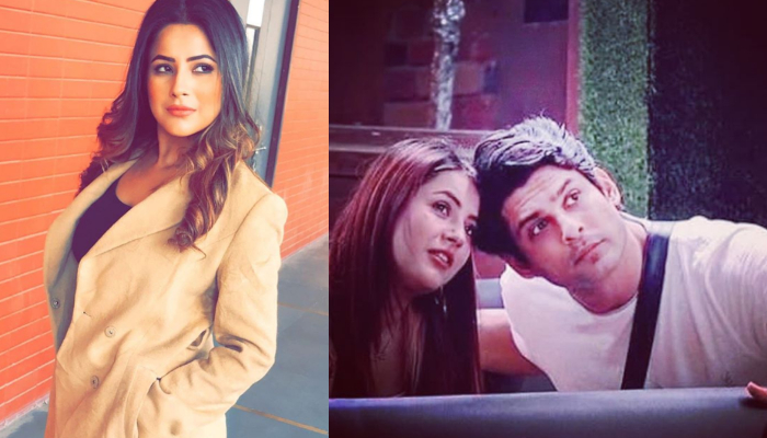 Kashmera Shah Shehnaaz Gill Bigg Boss 13