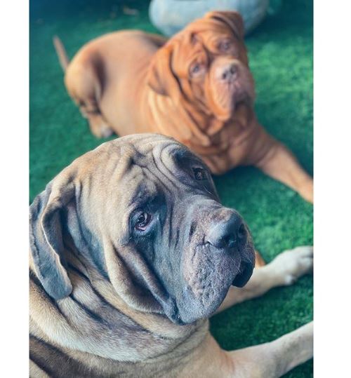 Alia Bhatt Photography