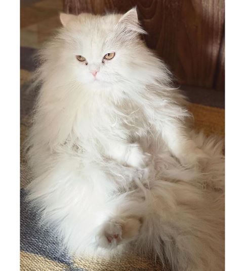 Alia Bhatt Photography