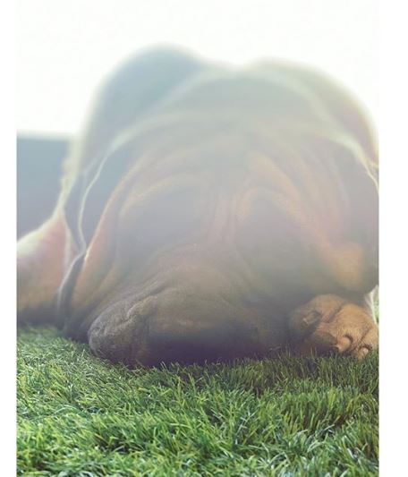 Alia Bhatt Photography