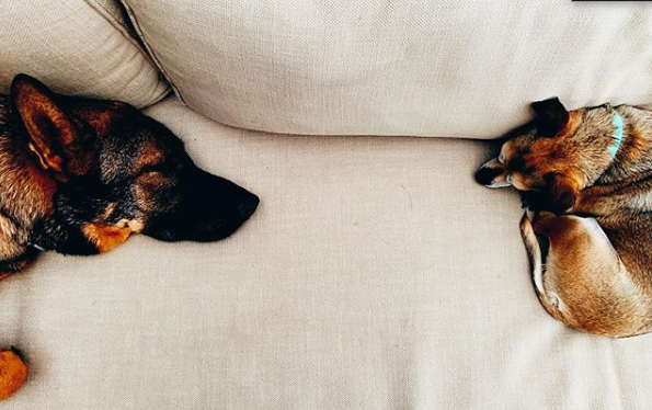 Priyanka Chopra Jonas