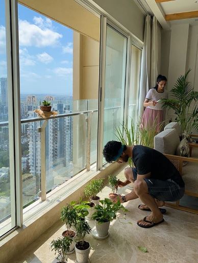 Divyanka Vivek Mini Garden