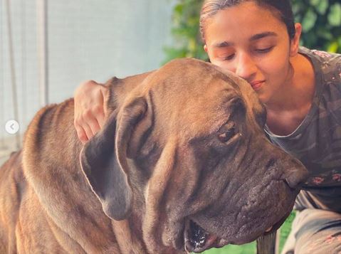 Alia Bhatt and Shaheen Bhatt