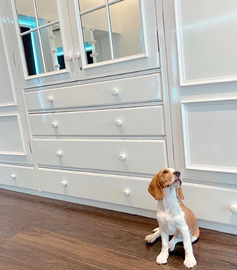 Tara Sutaria and Aadar Jain