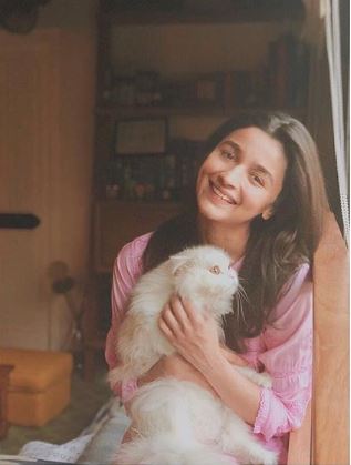 Alia Bhatt Cat