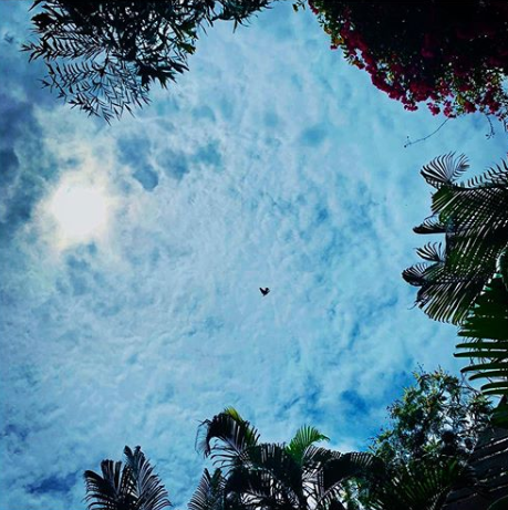 Shweta Bachchan and Big B