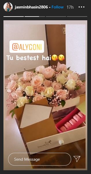 Jasmin Bhasin Aly Goni