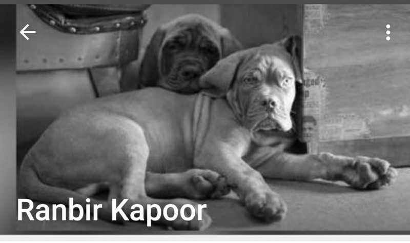 Ranbir Kapoor Whatsapp