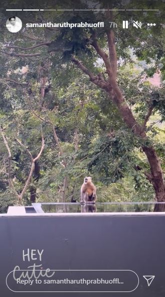 samantha ruth prabhu rishikesh