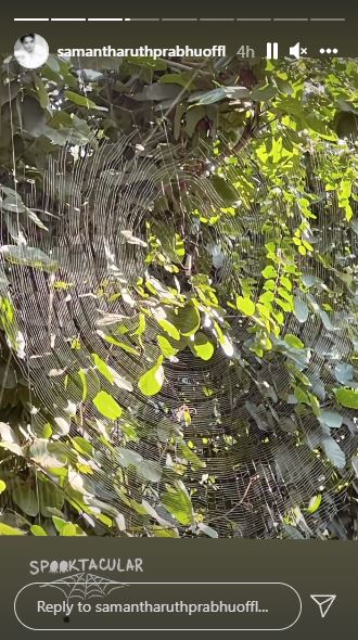 samantha ruth prabhu rishikesh