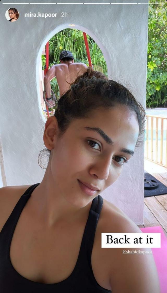 mira rajput and shahid kapoor karwa chauth