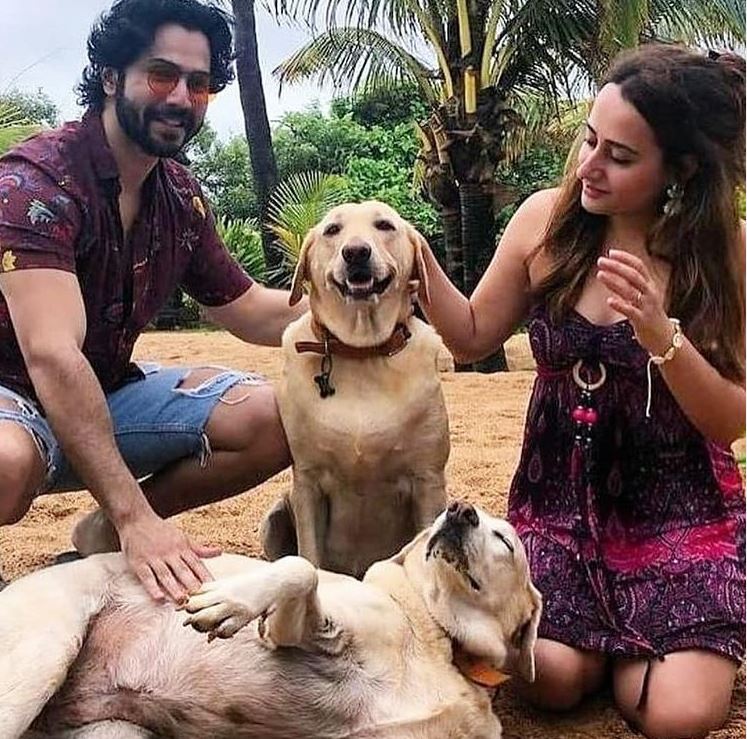 Varun Dhawan and Natasha Dalal