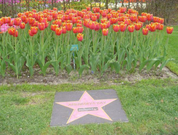 Aishwarya rai bachchan tulips netherlands flower after her name