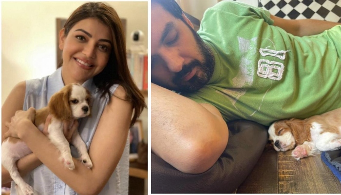 kajal aggarwal and gautam kitchlu kid