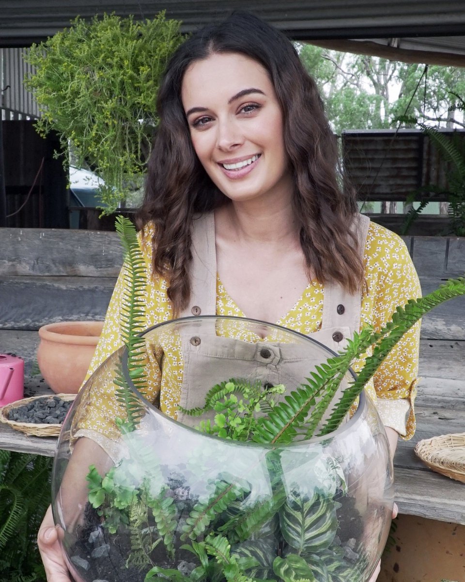 evelyn sharma pregnant