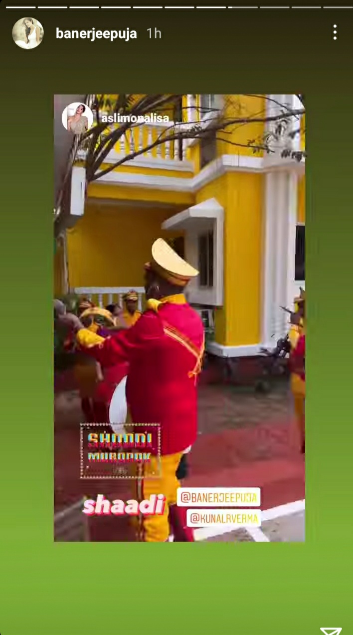 Puja and Kunal wedding