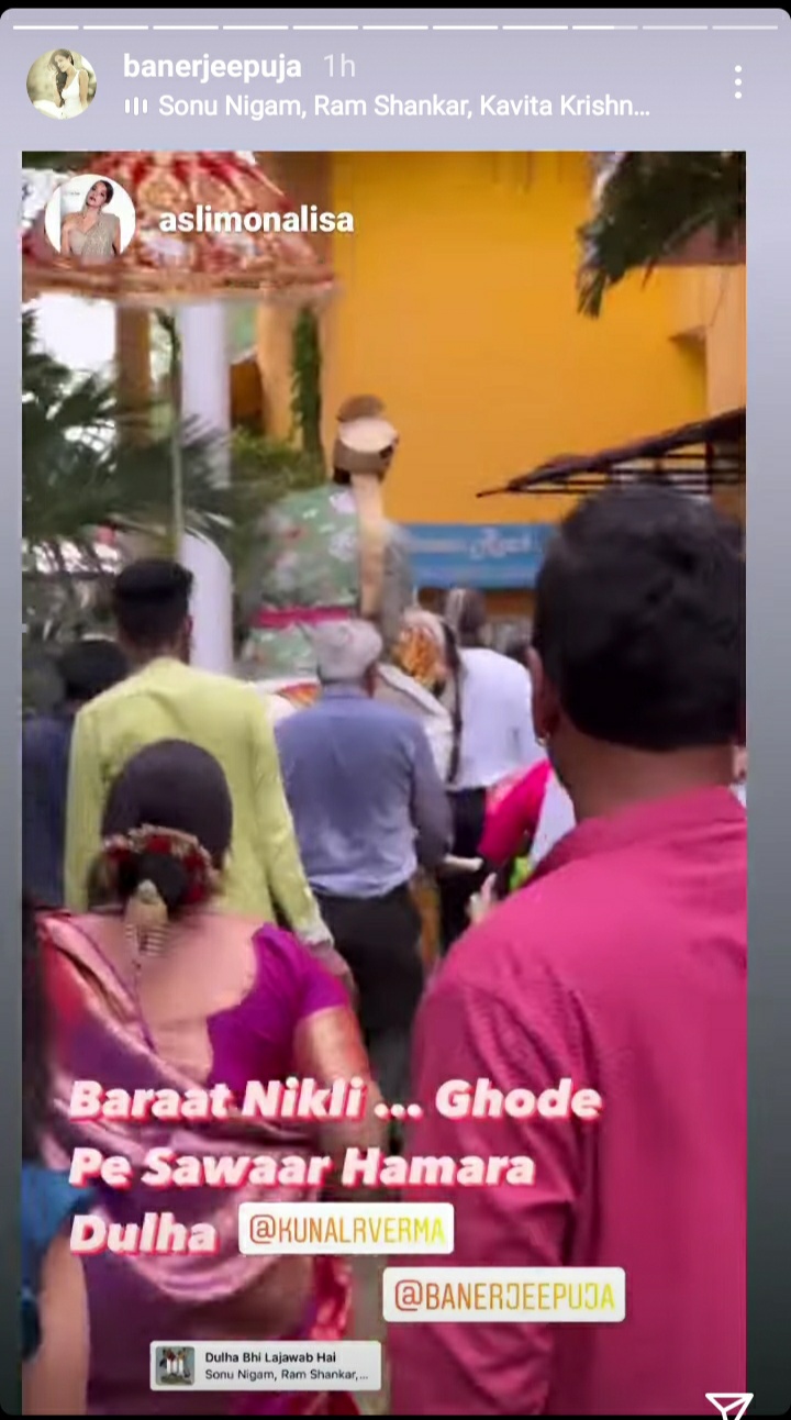 Puja and Kunal wedding