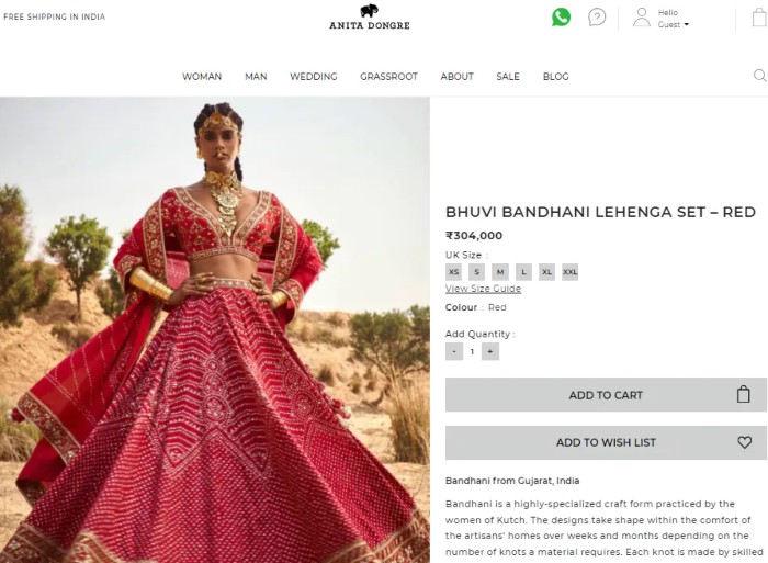 Dia lehenga price