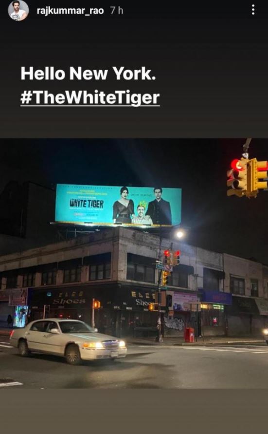 The White Tiger